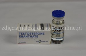 TESTOSTERON Enantat EP