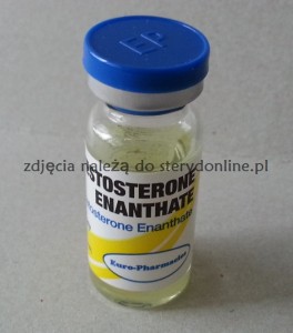 Testosteron enanthate EP