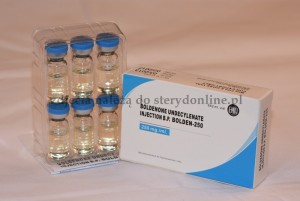 Bolden-250 (Boldenone Undecylenate)