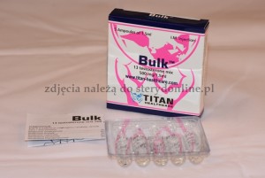 Bulk (Mix 13 testosteronów 500mg)