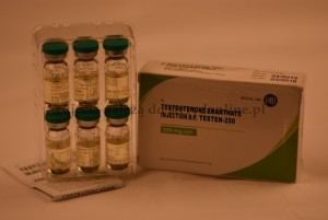 Testen-250 (Testosterone Enanthate)