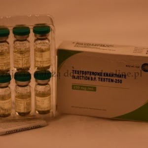 Testen-250 (Testosterone Enanthate)