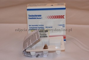 Testosterone Enanthate Norma
