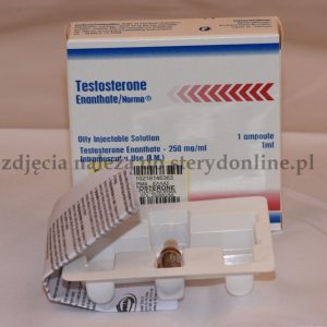 Testosterone Enanthate Norma