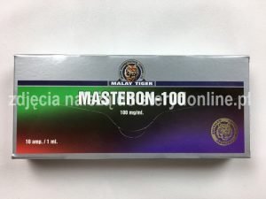 front cover MASTERON-100