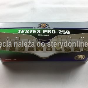 Testex Pro-250 (Testosteron Cypionate)