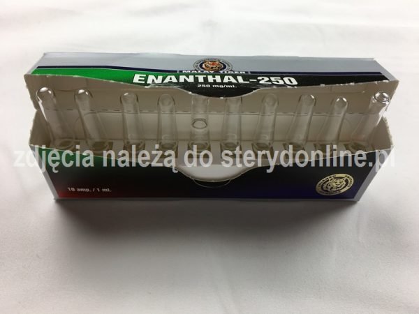 3. Enanthal-250 (Testosteron Enanthate)