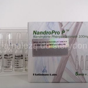 opakowanie NandroPRO P